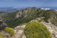 Monte Capanne